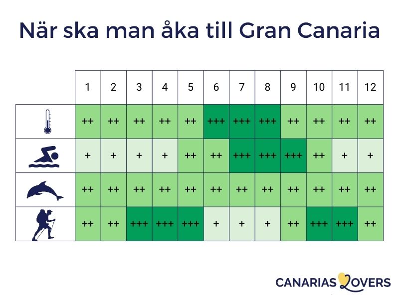 när ska jag åka Gran Canaria infografik