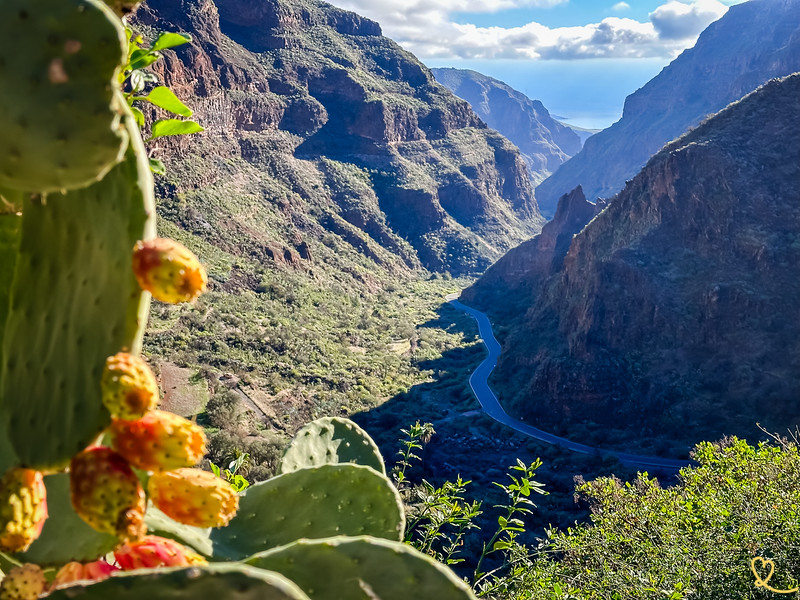 Barranco de Guayadeque