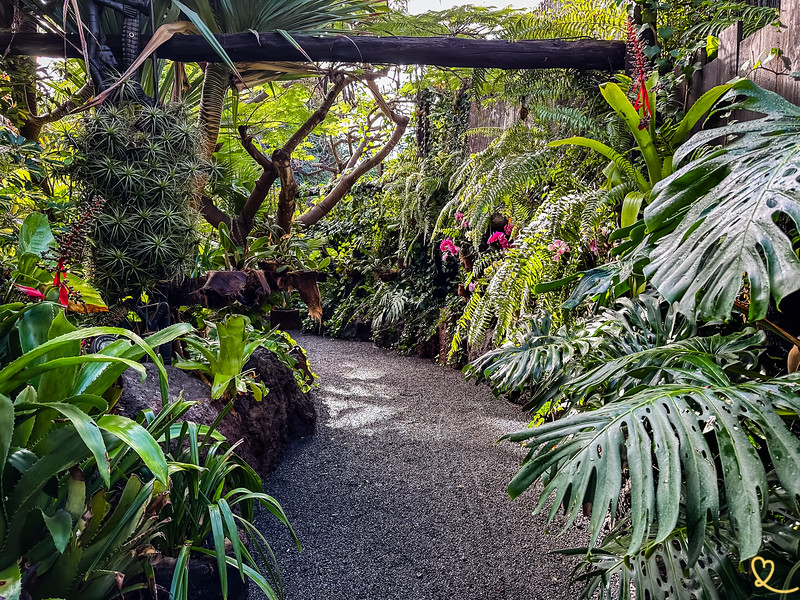 bezoek junglepark costa adeje tenerife