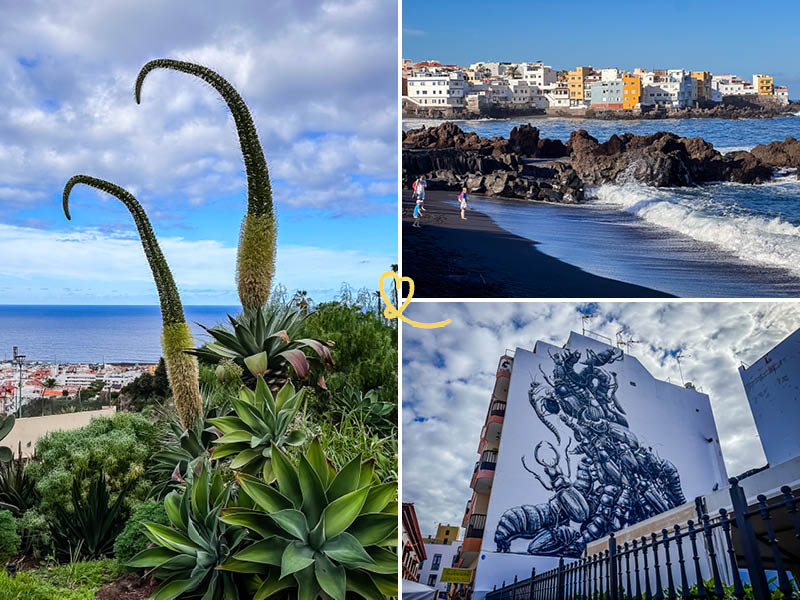 Warum sollten Sie nach Puerto de la Cruz, Teneriffa reisen?