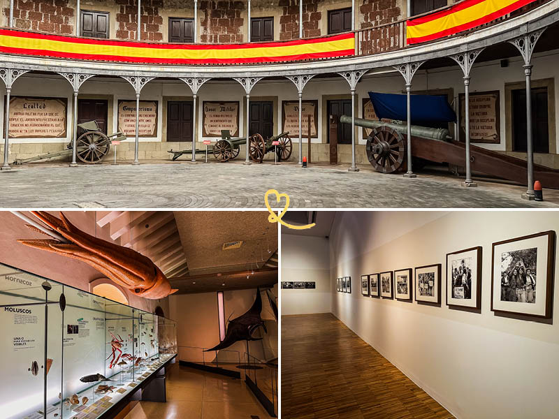 best museums santa cruz tenerife