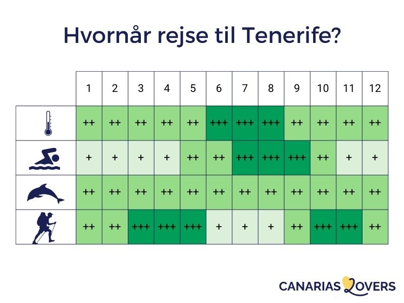 Hvornår skal man rejse til Tenerife infografik