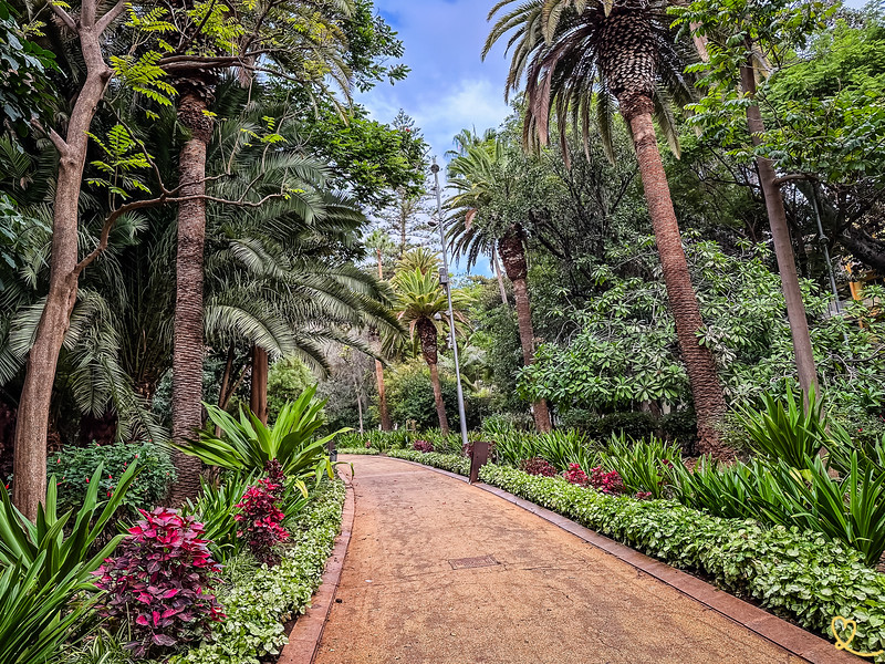 besök park garcia sanabria santa cruz tenerife
