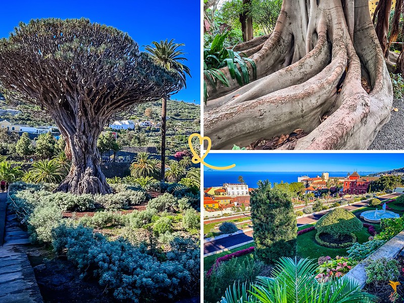 most beautiful gardens Tenerife