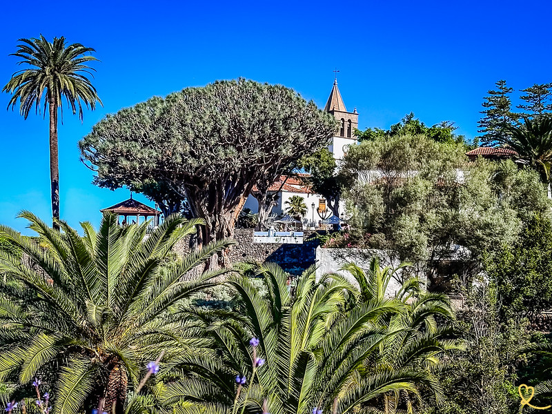 sehenswurdigkeiten Icod de los Vinos Teneriffa besuchen