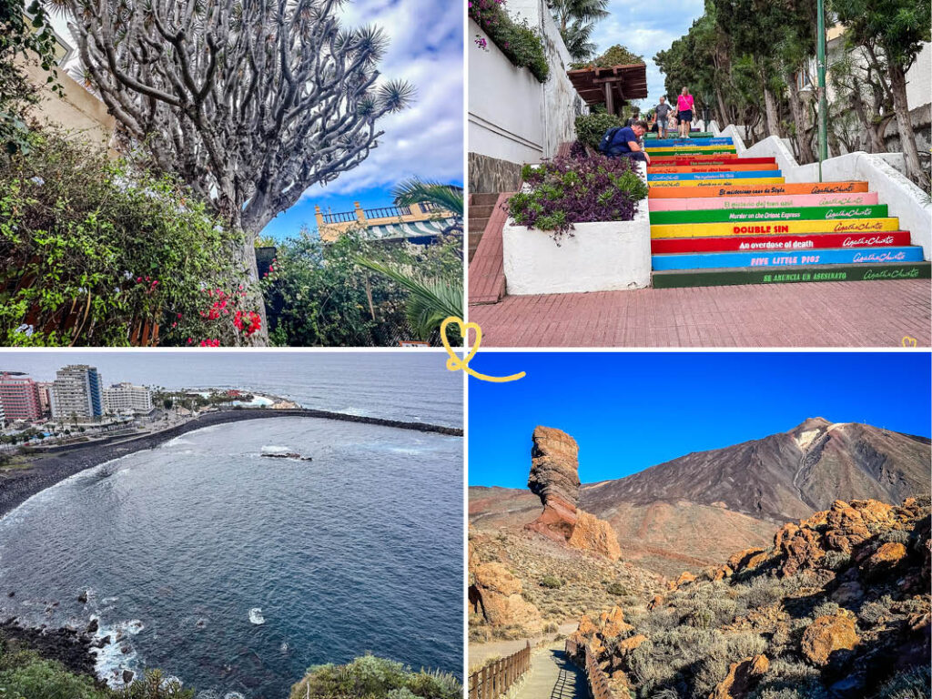 Tous nos conseils pour décider où aller: Santa Cruz ou Puerto de la Cruz - comparaison des hôtels, restaurants, attractions, ambiance...