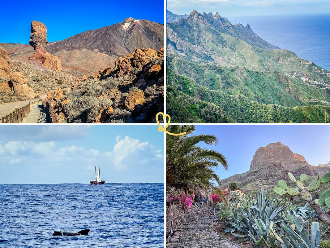 Découvrez nos excursions préférées depuis Santa Cruz de Tenerife, idéalement située pour visiter facilement les alentours!