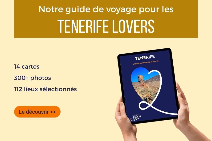 inpost Tenerife Lovers FR
